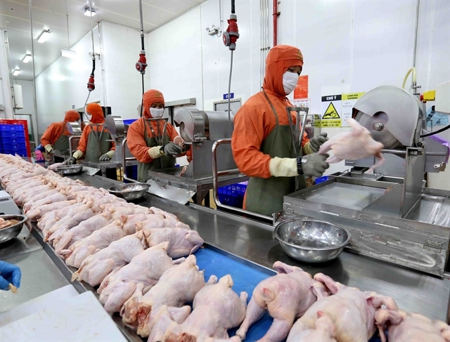 Vietnam's trade offices boost investment, trade promotions